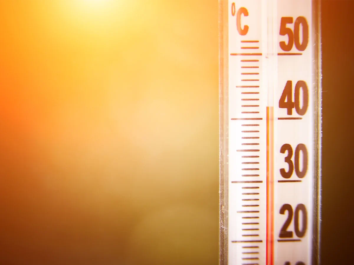 Vortrag zu Klimaanpassung und Hitzeschutz vor Ort der VHS St. Ingbert